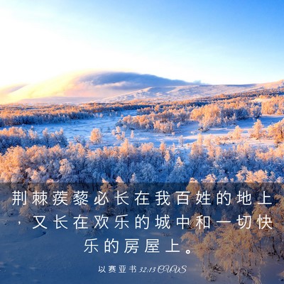 Picture 03 - 以 赛 亚 书 32:13 CUVS - 荆 棘 蒺 藜 必 长 在 我 百 姓 的 地 - Bible Verse Picture