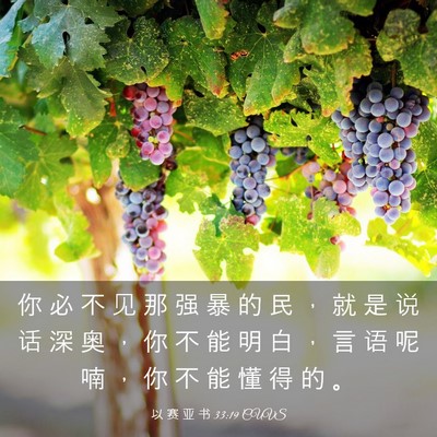 Picture 03 - 以 赛 亚 书 33:19 CUVS - 你 必 不 见 那 强 暴 的 民 ， 就 是 - Bible Verse Picture