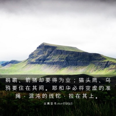 Picture 03 - 以 赛 亚 书 34:11 CUVS - 鹈 鹕 、 箭 猪 却 要 得 为 业 ； 猫 - Bible Verse Picture