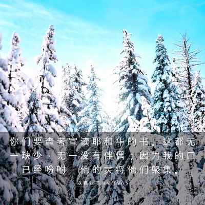 Picture 03 - 以 赛 亚 书 34:16 CUVS - 你 们 要 查 考 宣 读 耶 和 华 的 书 - Bible Verse Picture