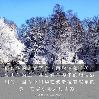 Picture 03 - 以 赛 亚 书 34:6 CUVS - 耶 和 华 的 刀 满 了 血 ， 用 脂 油 - Bible Verse Picture