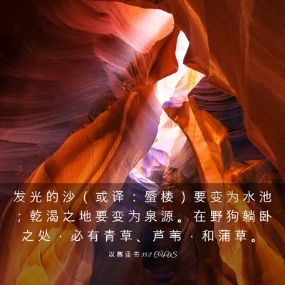 Picture 03 - 以 赛 亚 书 35:7 CUVS - 发 光 的 沙 （ 或 译 ： 蜃 楼 ） 要 - Bible Verse Picture