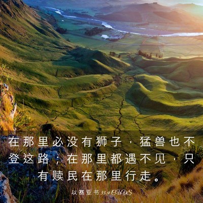 Picture 03 - 以 赛 亚 书 35:9 CUVS - 在 那 里 必 没 有 狮 子 ， 猛 兽 也 - Bible Verse Picture