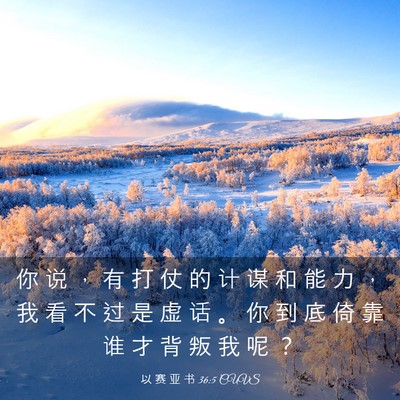 Picture 03 - 以 赛 亚 书 36:5 CUVS - 你 说 ， 有 打 仗 的 计 谋 和 能 力 - Bible Verse Picture