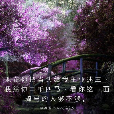 Picture 03 - 以 赛 亚 书 36:8 CUVS - 现 在 你 把 当 头 给 我 主 亚 述 王 - Bible Verse Picture