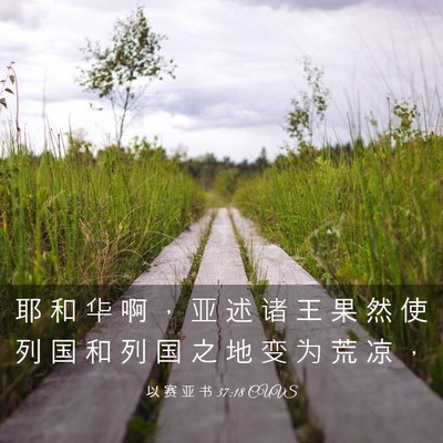 Picture 03 - 以 赛 亚 书 37:18 CUVS - 耶 和 华 啊 ， 亚 述 诸 王 果 然 使 - Bible Verse Picture