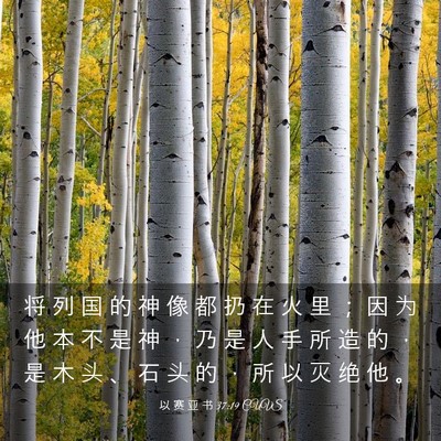 Picture 03 - 以 赛 亚 书 37:19 CUVS - 将 列 国 的 神 像 都 扔 在 火 里 ； - Bible Verse Picture