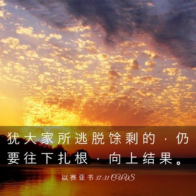 Picture 03 - 以 赛 亚 书 37:31 CUVS - 犹 大 家 所 逃 脱 馀 剩 的 ， 仍 要 - Bible Verse Picture