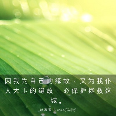 Picture 03 - 以 赛 亚 书 37:35 CUVS - 因 我 为 自 己 的 缘 故 ， 又 为 我 - Bible Verse Picture