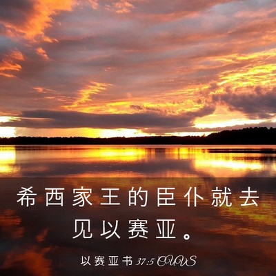 Picture 03 - 以 赛 亚 书 37:5 CUVS - 希 西 家 王 的 臣 仆 就 去 见 以 赛 - Bible Verse Picture