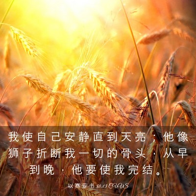 Picture 03 - 以 赛 亚 书 38:13 CUVS - 我 使 自 己 安 静 直 到 天 亮 ； 他 - Bible Verse Picture
