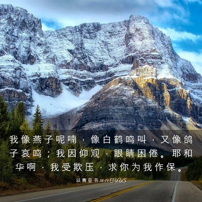 Picture 03 - 以 赛 亚 书 38:14 CUVS - 我 像 燕 子 呢 喃 ， 像 白 鹤 鸣 叫 - Bible Verse Picture