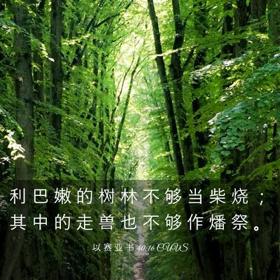 Picture 03 - 以 赛 亚 书 40:16 CUVS - 利 巴 嫩 的 树 林 不 够 当 柴 烧 ； - Bible Verse Picture