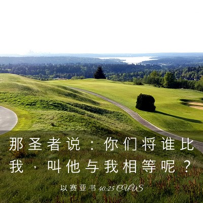 Picture 03 - 以 赛 亚 书 40:25 CUVS - 那 圣 者 说 ： 你 们 将 谁 比 我 ， - Bible Verse Picture