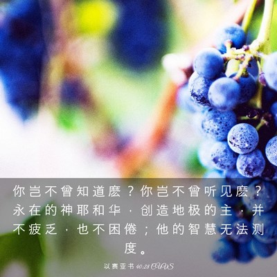 Picture 03 - 以 赛 亚 书 40:28 CUVS - 你 岂 不 曾 知 道 麽 ？ 你 岂 不 曾 - Bible Verse Picture
