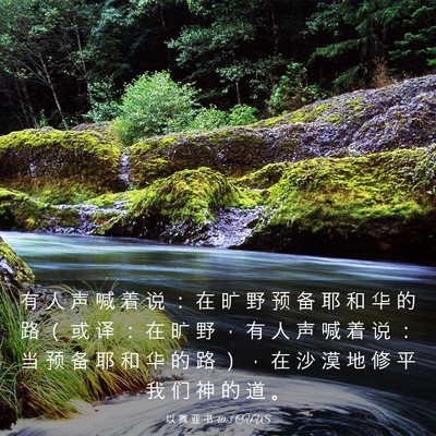 Picture 03 - 以 赛 亚 书 40:3 CUVS - 有 人 声 喊 着 说 ： 在 旷 野 预 备 - Bible Verse Picture