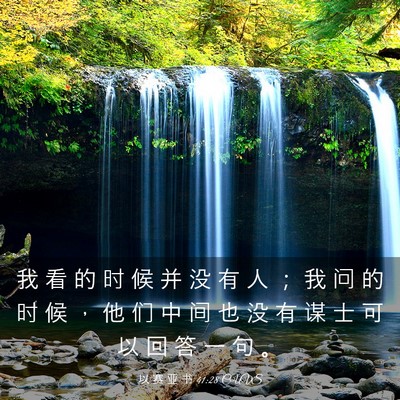 Picture 03 - 以 赛 亚 书 41:28 CUVS - 我 看 的 时 候 并 没 有 人 ； 我 问 - Bible Verse Picture