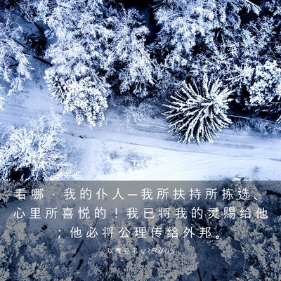 Picture 03 - 以 赛 亚 书 42:1 CUVS - 看 哪 ， 我 的 仆 人 ─ 我 所 扶 持 - Bible Verse Picture