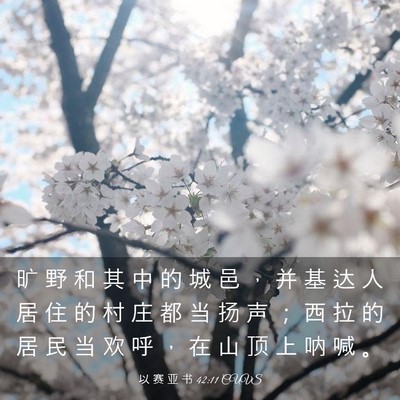 Picture 03 - 以 赛 亚 书 42:11 CUVS - 旷 野 和 其 中 的 城 邑 ， 并 基 达 - Bible Verse Picture