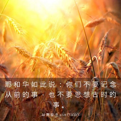Picture 03 - 以 赛 亚 书 43:18 CUVS - 耶 和 华 如 此 说 ： 你 们 不 要 记 - Bible Verse Picture
