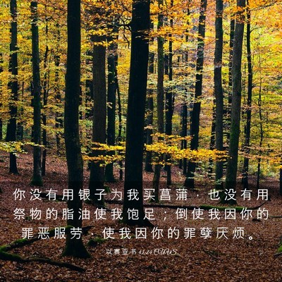 Picture 03 - 以 赛 亚 书 43:24 CUVS - 你 没 有 用 银 子 为 我 买 菖 蒲 ， - Bible Verse Picture