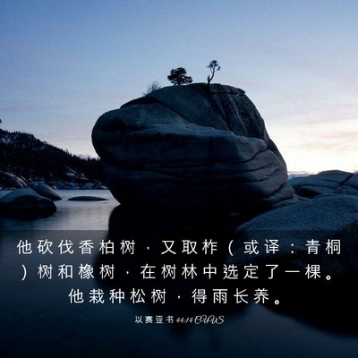 Picture 03 - 以 赛 亚 书 44:14 CUVS - 他 砍 伐 香 柏 树 ， 又 取 柞 （ 或 - Bible Verse Picture
