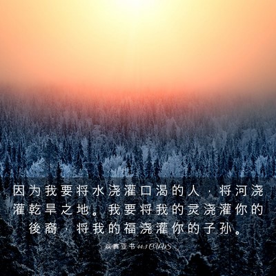 Picture 03 - 以 赛 亚 书 44:3 CUVS - 因 为 我 要 将 水 浇 灌 口 渴 的 人 - Bible Verse Picture