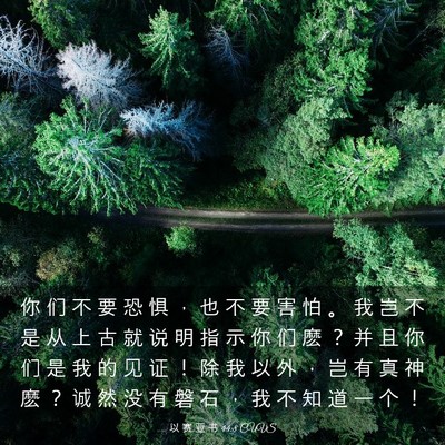 Picture 03 - 以 赛 亚 书 44:8 CUVS - 你 们 不 要 恐 惧 ， 也 不 要 害 怕 - Bible Verse Picture