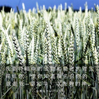 Picture 03 - 以 赛 亚 书 45:3 CUVS - 我 要 将 暗 中 的 宝 物 和 隐 密 的 - Bible Verse Picture