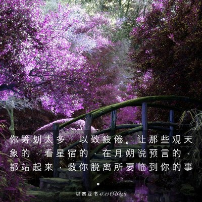 Picture 03 - 以 赛 亚 书 47:13 CUVS - 你 筹 划 太 多 ， 以 致 疲 倦 。 让 - Bible Verse Picture