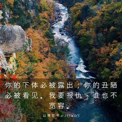 Picture 03 - 以 赛 亚 书 47:3 CUVS - 你 的 下 体 必 被 露 出 ； 你 的 丑 - Bible Verse Picture