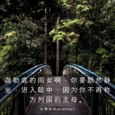Picture 03 - 以 赛 亚 书 47:5 CUVS - 迦 勒 底 的 闺 女 啊 ， 你 要 默 然 - Bible Verse Picture