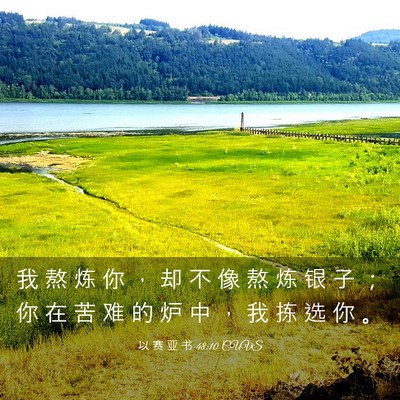 Picture 03 - 以 赛 亚 书 48:10 CUVS - 我 熬 炼 你 ， 却 不 像 熬 炼 银 子 - Bible Verse Picture