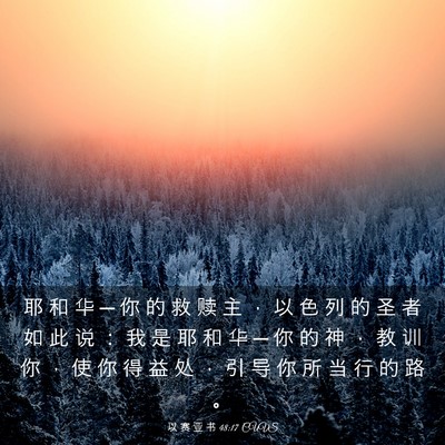 Picture 03 - 以 赛 亚 书 48:17 CUVS - 耶 和 华 ─ 你 的 救 赎 主 ， 以 色 - Bible Verse Picture