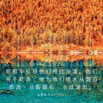 Picture 03 - 以 赛 亚 书 48:21 CUVS - 耶 和 华 引 导 他 们 经 过 沙 漠 。 - Bible Verse Picture