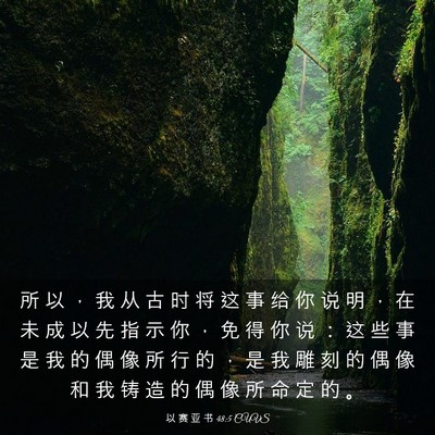 Picture 03 - 以 赛 亚 书 48:5 CUVS - 所 以 ， 我 从 古 时 将 这 事 给 你 - Bible Verse Picture