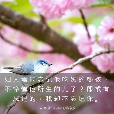 Picture 03 - 以 赛 亚 书 49:15 CUVS - 妇 人 焉 能 忘 记 他 吃 奶 的 婴 孩 - Bible Verse Picture