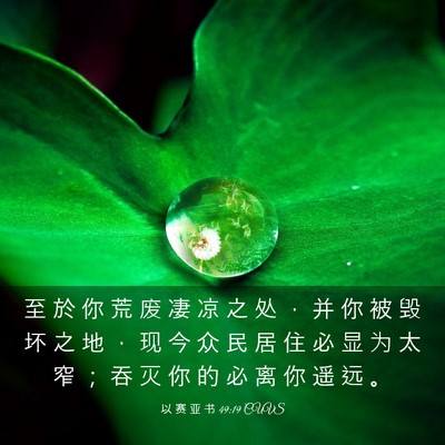 Picture 03 - 以 赛 亚 书 49:19 CUVS - 至 於 你 荒 废 凄 凉 之 处 ， 并 你 - Bible Verse Picture