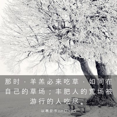 Picture 03 - 以 赛 亚 书 5:17 CUVS - 那 时 ， 羊 羔 必 来 吃 草 ， 如 同 - Bible Verse Picture