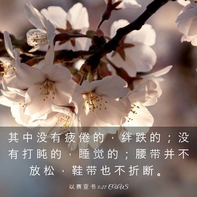 Picture 03 - 以 赛 亚 书 5:27 CUVS - 其 中 没 有 疲 倦 的 ， 绊 跌 的 ； - Bible Verse Picture