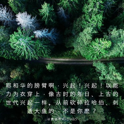Picture 03 - 以 赛 亚 书 51:9 CUVS - 耶 和 华 的 膀 臂 啊 ， 兴 起 ！ 兴 - Bible Verse Picture