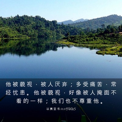 Picture 03 - 以 赛 亚 书 53:3 CUVS - 他 被 藐 视 ， 被 人 厌 弃 ； 多 受 - Bible Verse Picture
