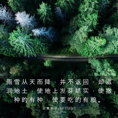 Picture 03 - 以 赛 亚 书 55:10 CUVS - 雨 雪 从 天 而 降 ， 并 不 返 回 ， - Bible Verse Picture