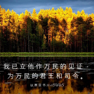 Picture 03 - 以 赛 亚 书 55:4 CUVS - 我 已 立 他 作 万 民 的 见 证 ， 为 - Bible Verse Picture