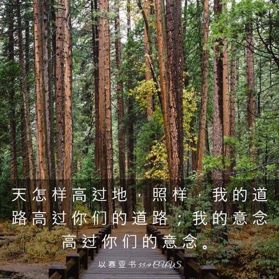 Picture 03 - 以 赛 亚 书 55:9 CUVS - 天 怎 样 高 过 地 ， 照 样 ， 我 的 - Bible Verse Picture
