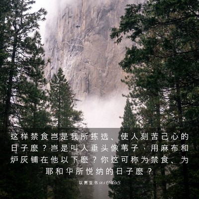 Picture 03 - 以 赛 亚 书 58:5 CUVS - 这 样 禁 食 岂 是 我 所 拣 选 、 使 - Bible Verse Picture