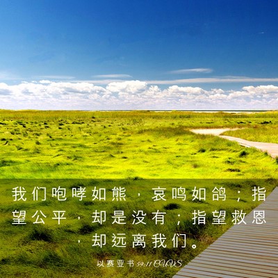Picture 03 - 以 赛 亚 书 59:11 CUVS - 我 们 咆 哮 如 熊 ， 哀 鸣 如 鸽 ； - Bible Verse Picture