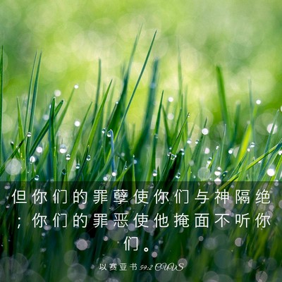 Picture 03 - 以 赛 亚 书 59:2 CUVS - 但 你 们 的 罪 孽 使 你 们 与 神 隔 - Bible Verse Picture