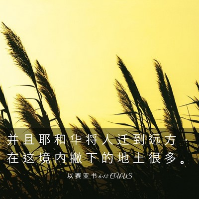 Picture 03 - 以 赛 亚 书 6:12 CUVS - 并 且 耶 和 华 将 人 迁 到 远 方 ， - Bible Verse Picture