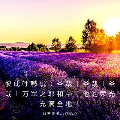 Picture 03 - 以 赛 亚 书 6:3 CUVS - 彼 此 呼 喊 说 ： 圣 哉 ！ 圣 哉 ！ - Bible Verse Picture
